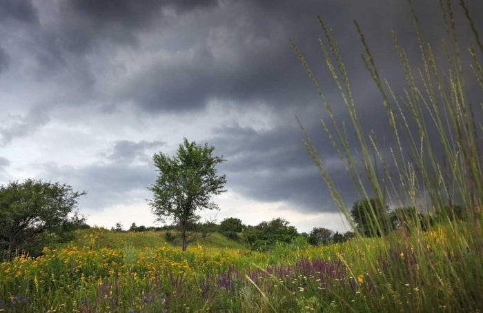 Inmet projeta verão chuvoso e efeito da La Niña no campo