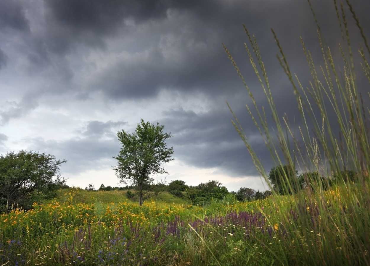 L'Inmet prévoit un été pluvieux et les effets de La Niña sur l'agriculture.