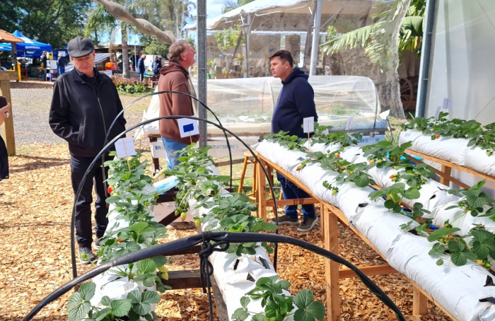 Fruticultura sustentável é destaque na Expointer 2024