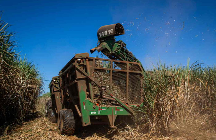 Hedgepoint updates sugarcane, sugar and ethanol harvest in the Center-South to 605M tons