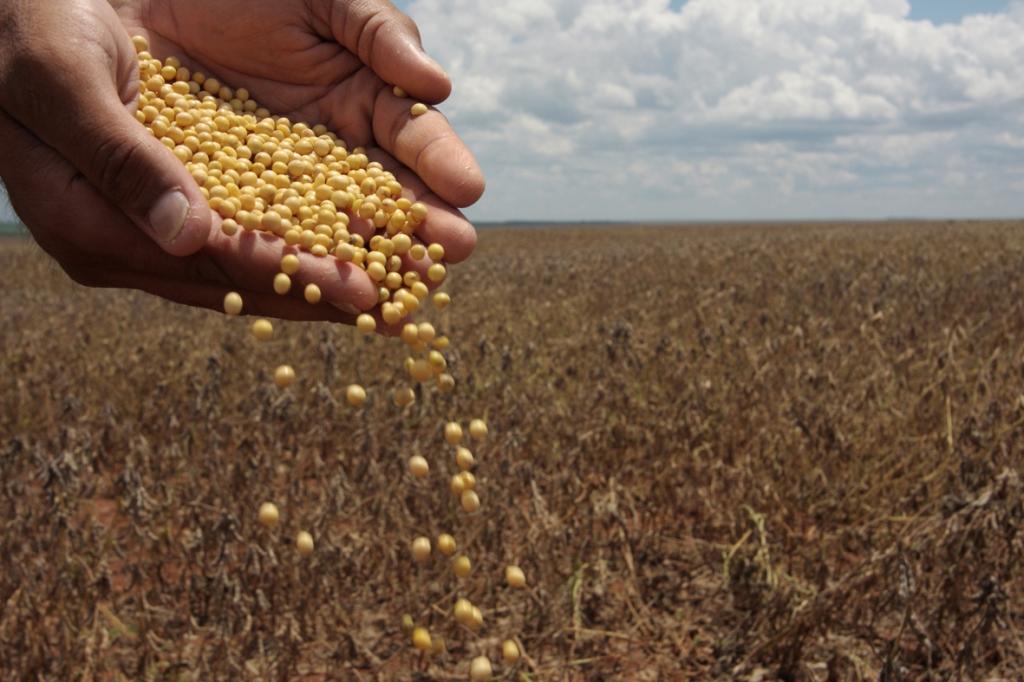 Ministro Maggi lança selo de sustentabilidade do agronegócio no GAF