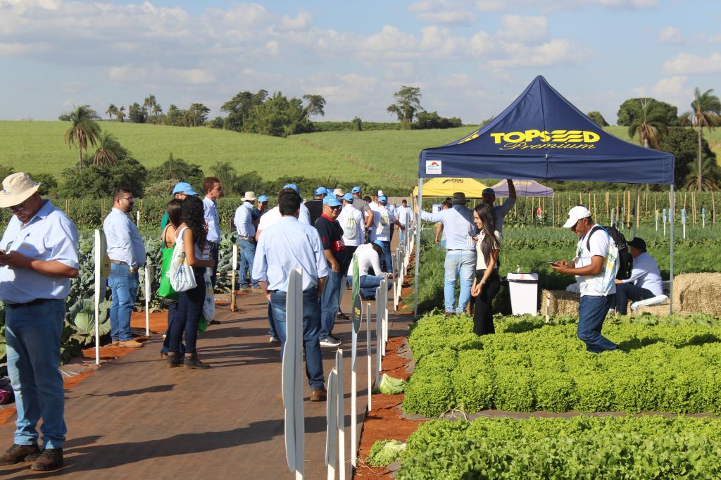 Agristar Field Day attracts visitors from all over Brazil