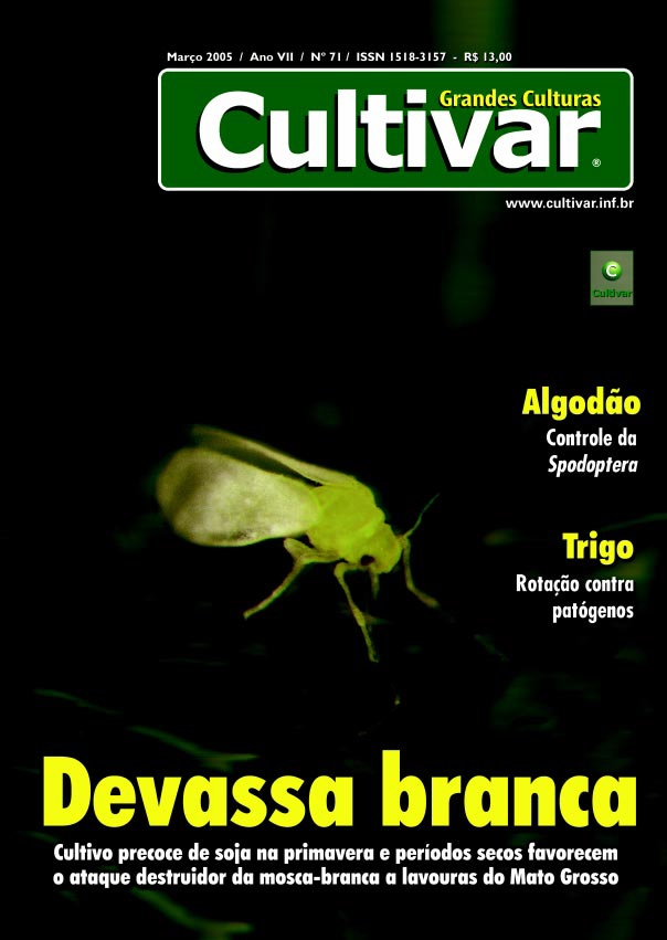 Devassa branca