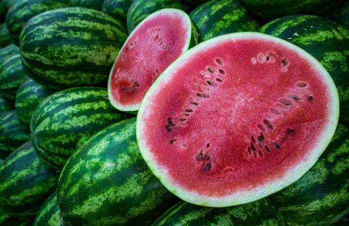 Produtores de Jussara estão autorizados a exportar melancia, melão e abóbora