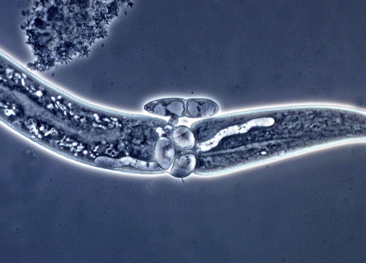Foto: George Barron - CC BY-NC-ND 40