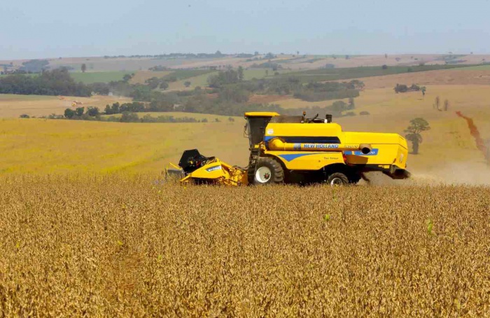 PR Safra 2025/26: soja lidera bom desempenho