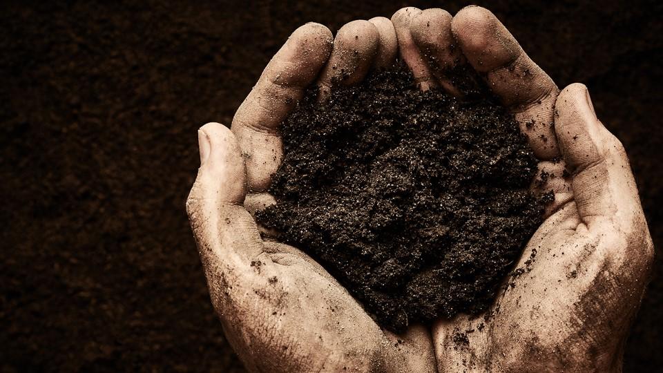 Bayer anuncia nova fase da iniciativa Carbono com benefícios para agricultores