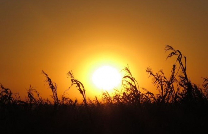 Santa Catarina terá temperaturas acima da média até janeiro