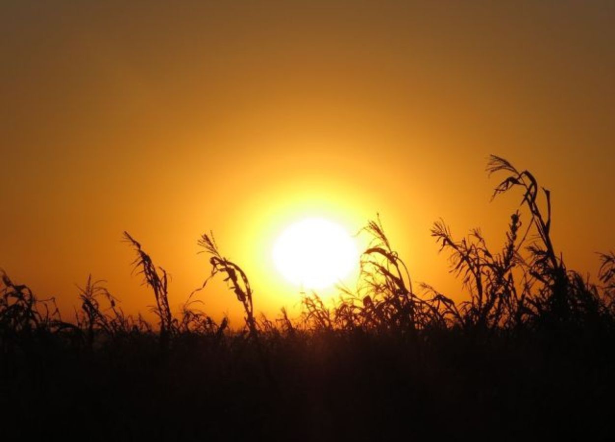 Santa Catarina terá temperaturas acima da média até janeiro