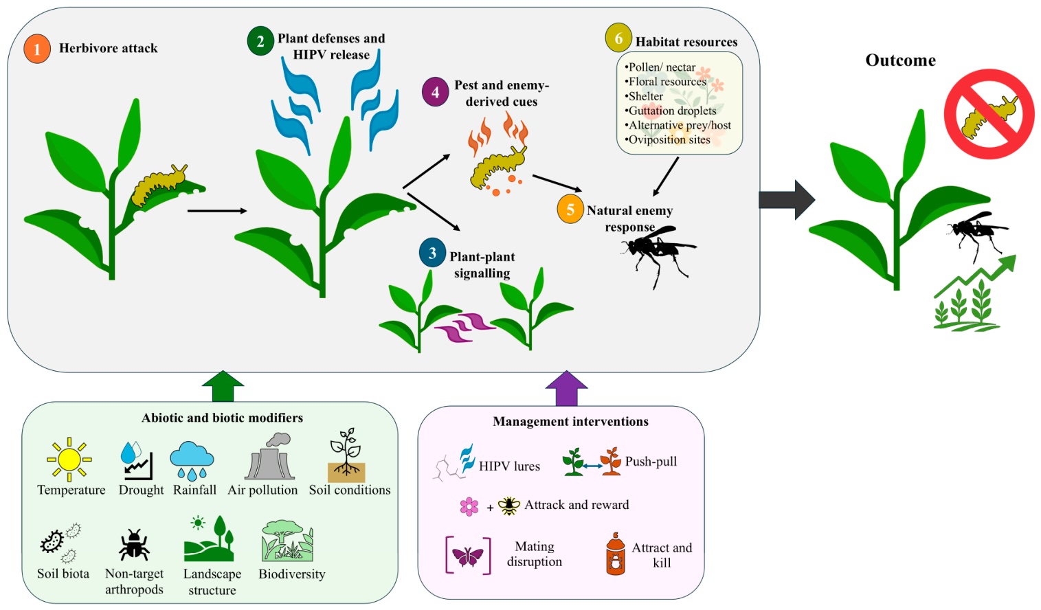 doi 10.3390/insects17080808