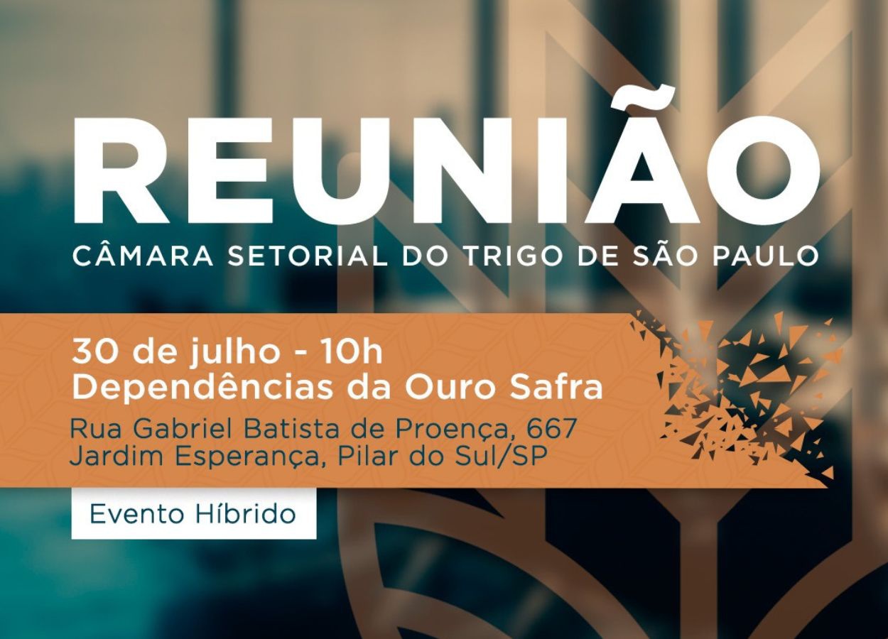 Cadeia do trigo paulista avalia safra no fim de julho