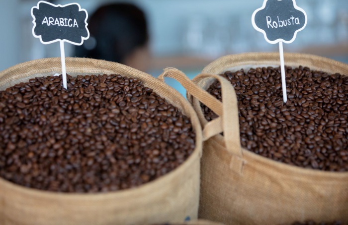 Spreads entre café arábica e robusta no Brasil atingem níveis negativos em 2024