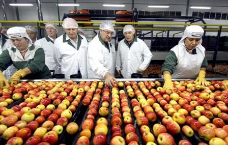 Raimundo Colombo participa da abertura da colheita da maçã em Santa Catarina