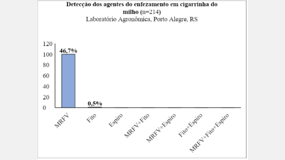 Figura 2: percentagem de amostras de cigarrinhas positivas para os agentes do complexo do enfezamento do milho em 2023, analisadas no Laboratório Agronômica