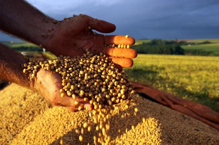 Brasil deve colher 238,7 milhões de toneladas de grãos na safra 2016/17