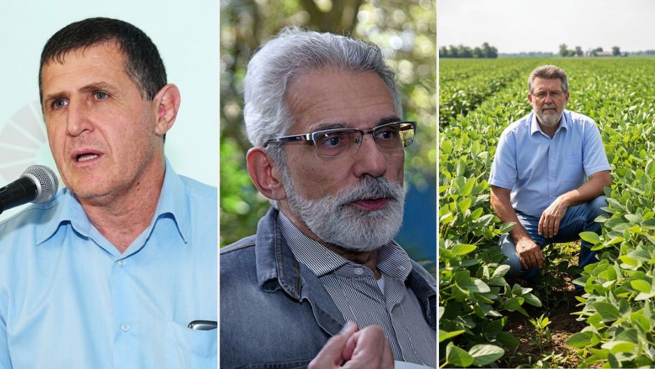 Pedro Abel Vieira, Antonio Marcio Buainain e Decio Gazzoni