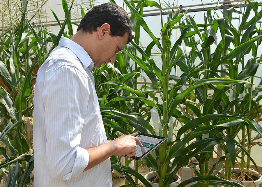 Desenvolvedores contam com plataforma AgroAPI para criar soluções para o campo