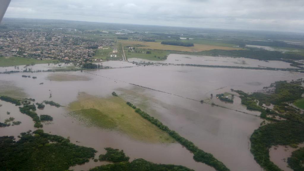 Gaúchos deverão colher área muito inferior à um milhão de hectares no arroz