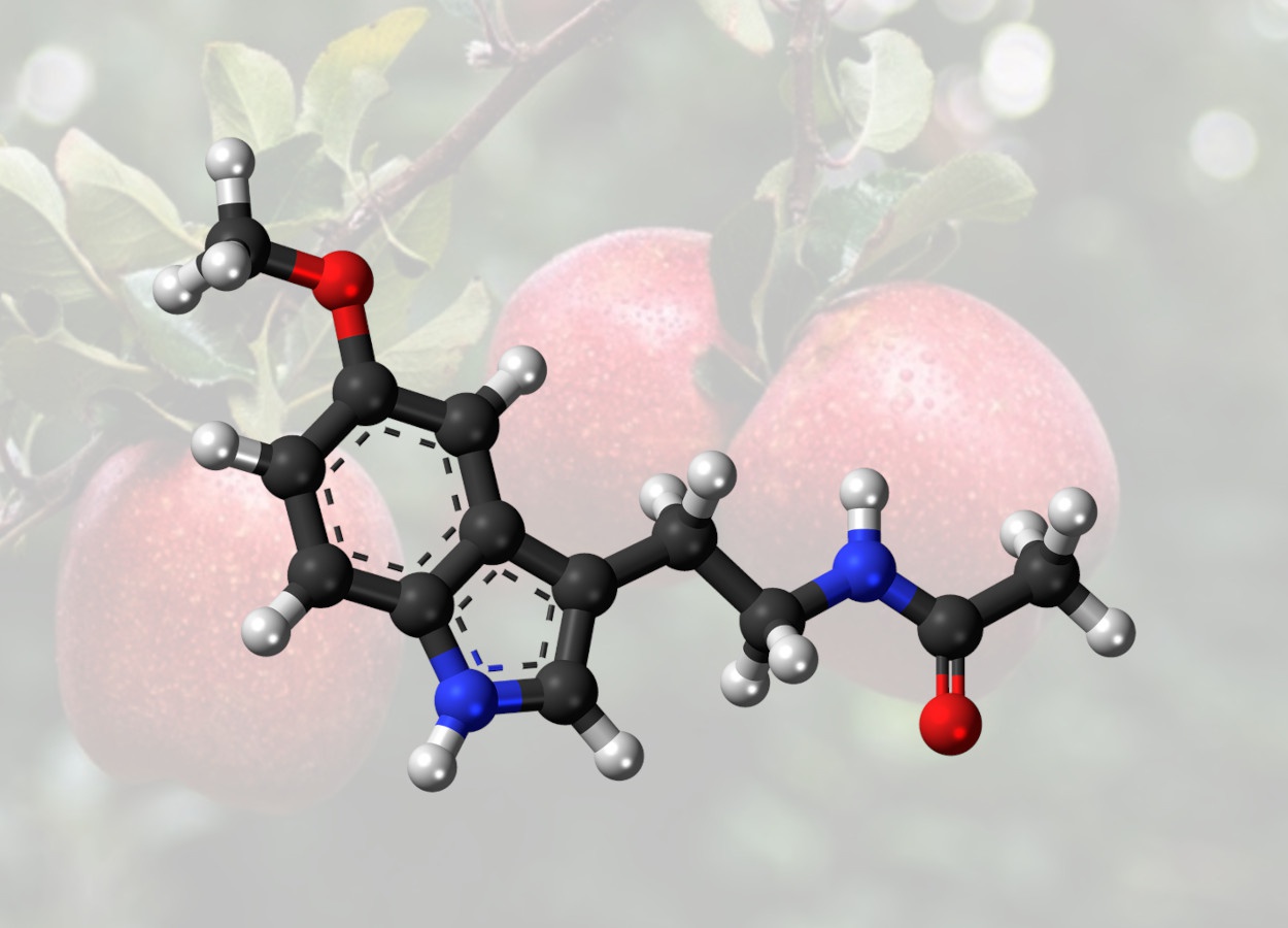 Revisão científica aponta efeitos da melatonina em vegetais