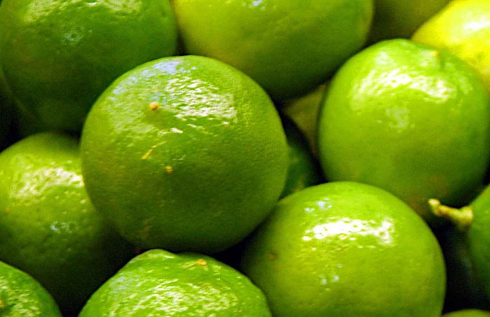 Setor de limão Tahiti cresce no Brasil