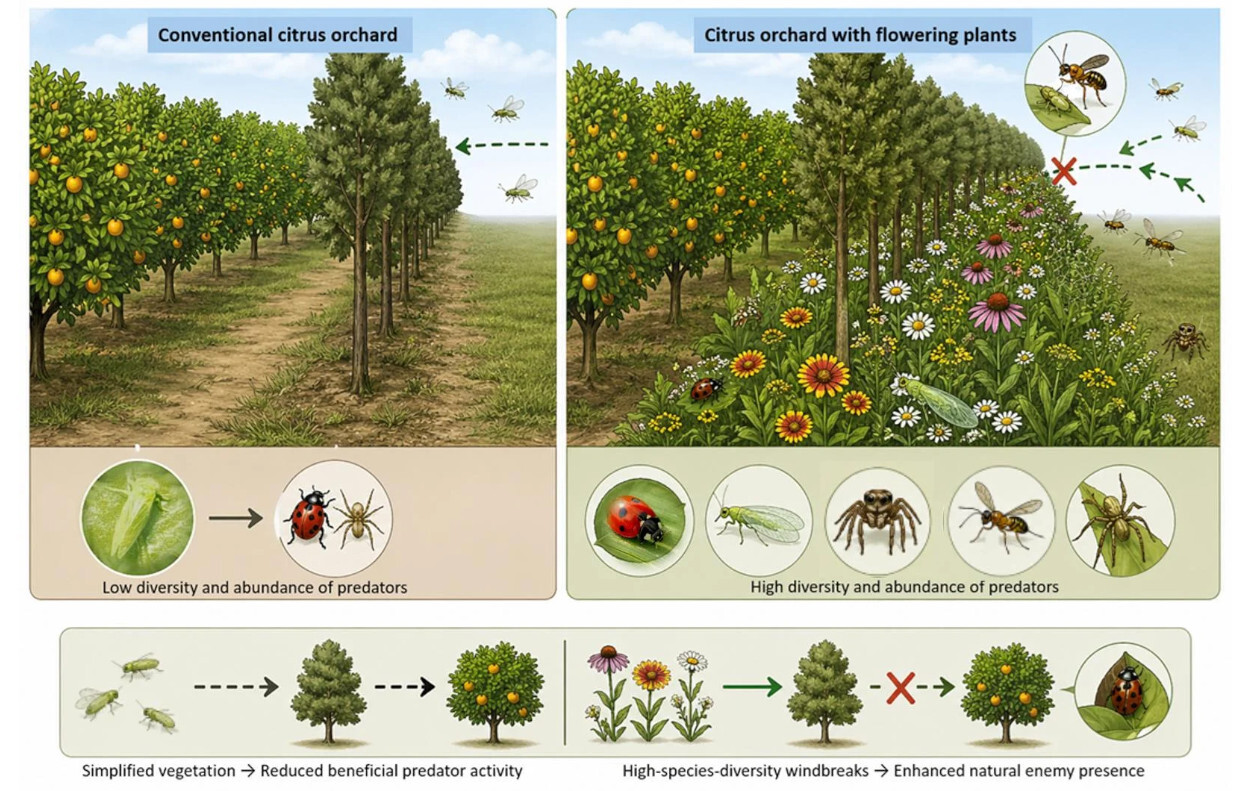 doi 10.3390/insects17101036