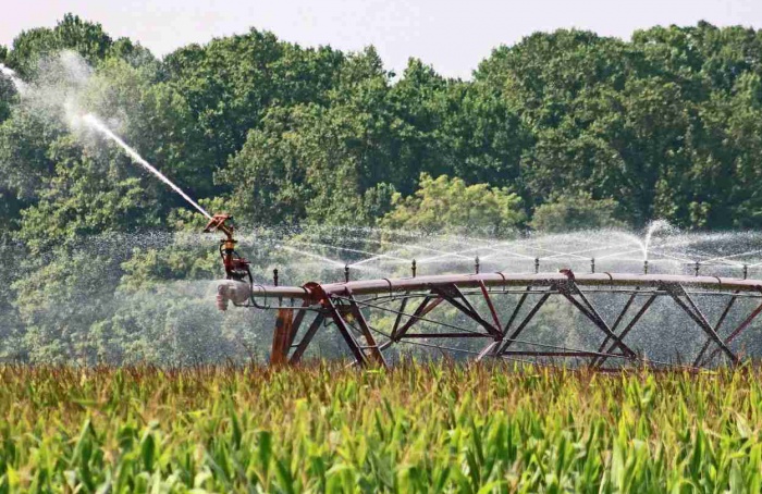 Polos irrigados ampliam renda e emprego no Brasil