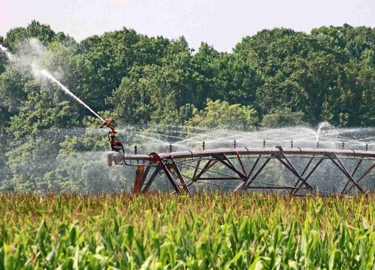 Polos irrigados ampliam renda e emprego no Brasil