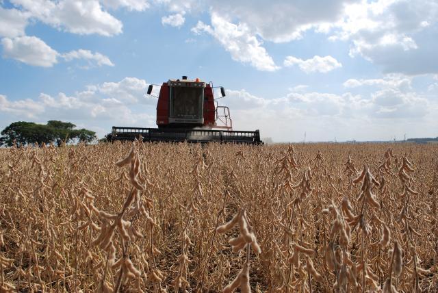Zoneamento agrícola de risco climático de milho e soja é apresentado em Redenção, PA