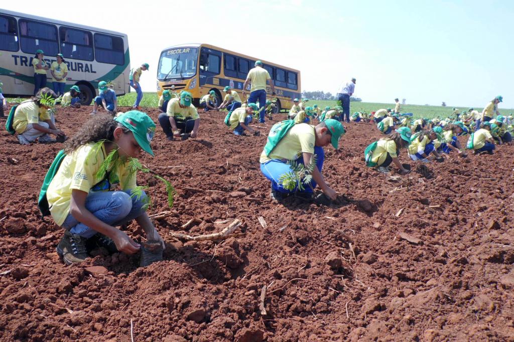 FMC apoia o projeto “Semeando o Verde” da Usina Santa Terezinha