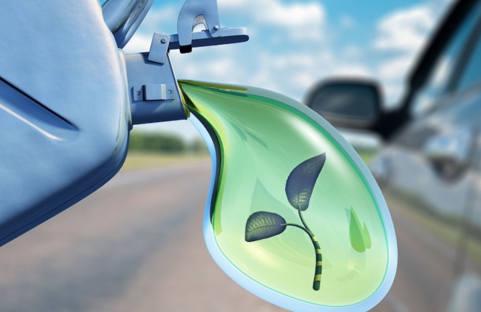 Carta de Belém destaca liderança do Brasil em biocombustíveis