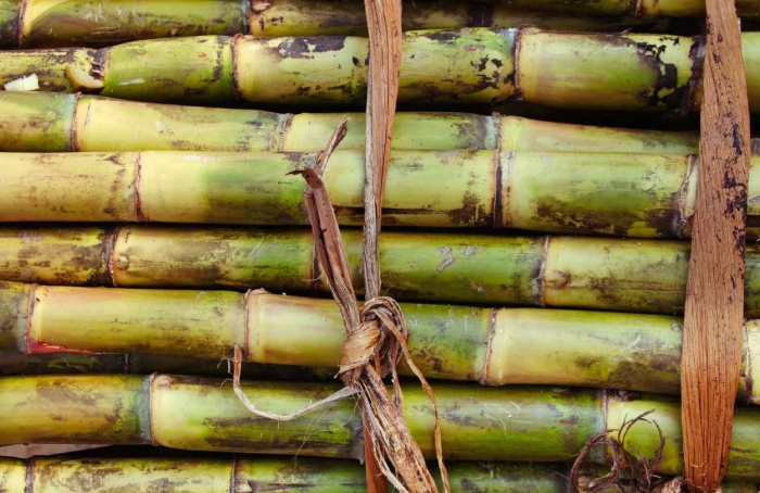 El Niño eleva riscos para commodities agrícolas no 4º trimestre