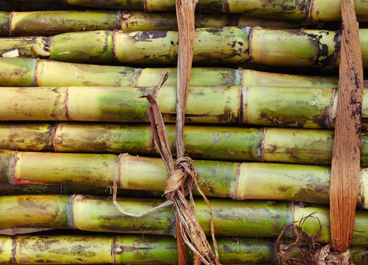 El Niño eleva riscos para commodities agrícolas no 4º trimestre
