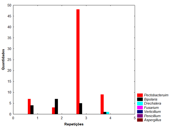 Gráfico 3 - Quantidades de fungos encontrados em sementes tratadas em meio BDA