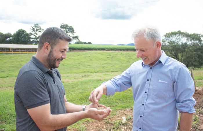 Castrolanda registra maior safra de cevada em sete anos