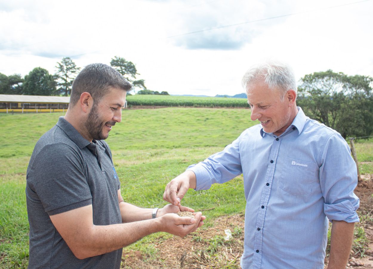 Castrolanda registra maior safra de cevada em sete anos