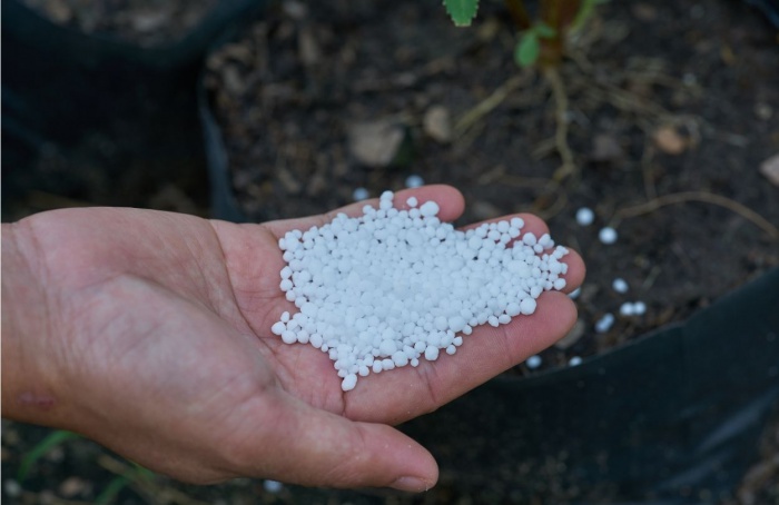 Queda no preço da ureia muda estratégia de compra no Brasil