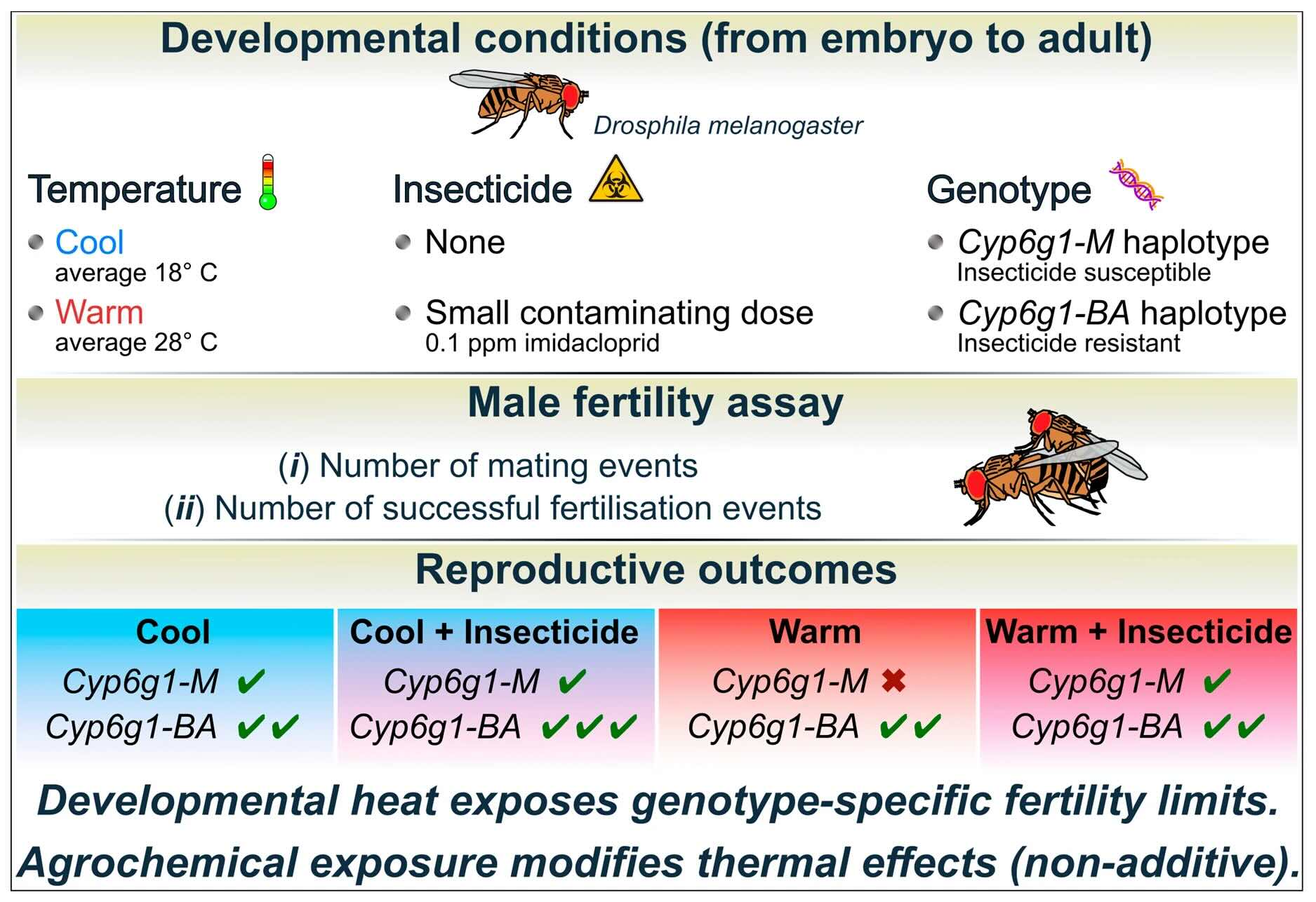 Imagem: doi.org/10.3390/insects17040426