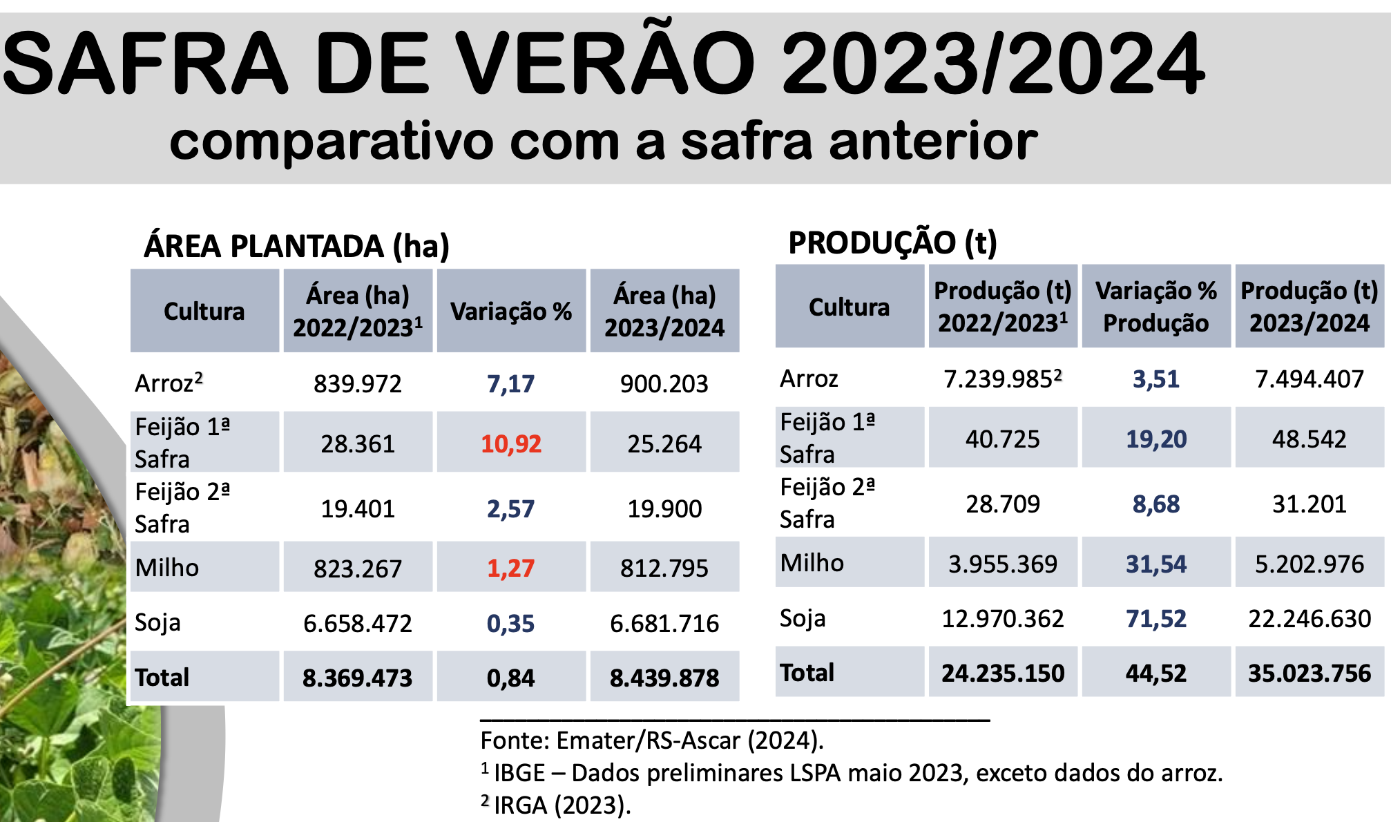 Estimativa de produção da safra de verão 2023-24 no Rio Grande do Sul