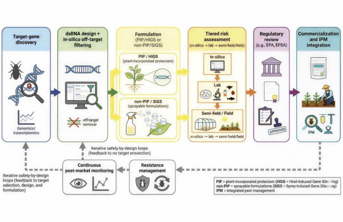 Pesquisadores apontam avanços e riscos dos biopesticidas de RNAi