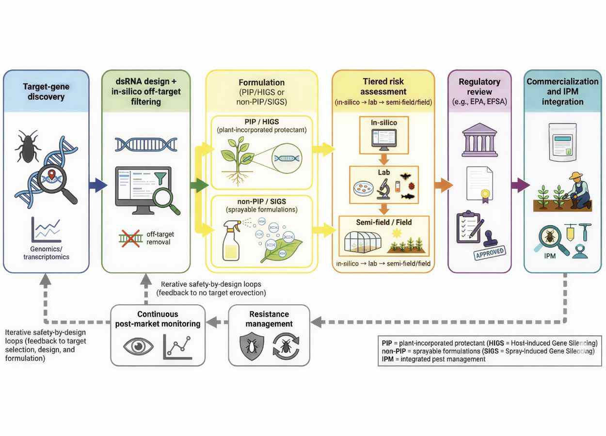 Pesquisadores apontam avanços e riscos dos biopesticidas de RNAi