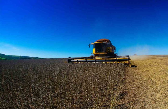 Embrapa promove Curso de Produção de Soja em Londrina (PR)