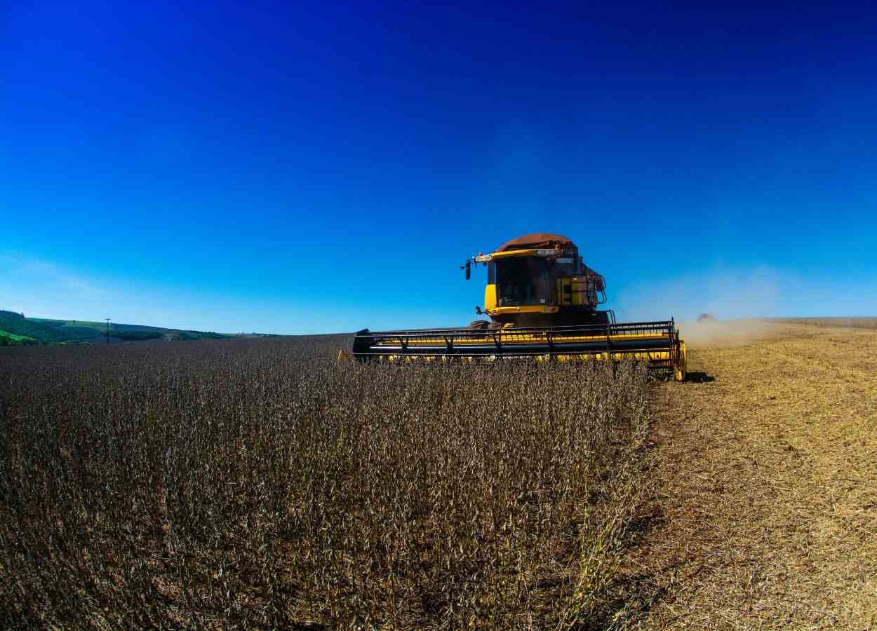 Embrapa promove Curso de Produção de Soja em Londrina (PR)