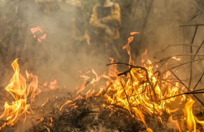 Queimadas devastam mais de 181 mil hectares de canaviais e áreas de rebrota no Estado de São Paulo