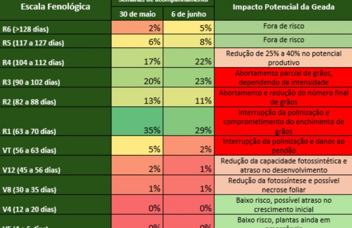 Ocorrência de geada em MS pode prejudicar lavouras de milho