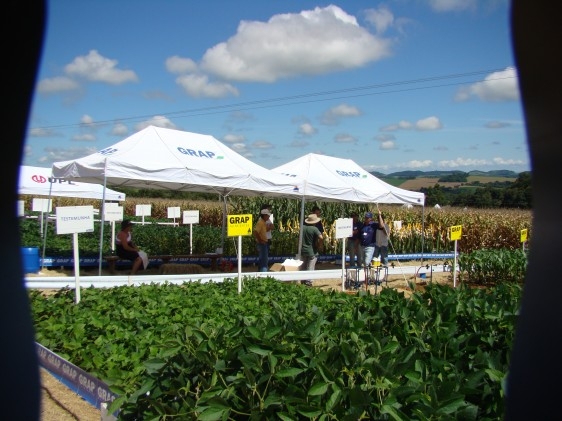 Coasul – unidades de Dois Vizinhos e Renascença