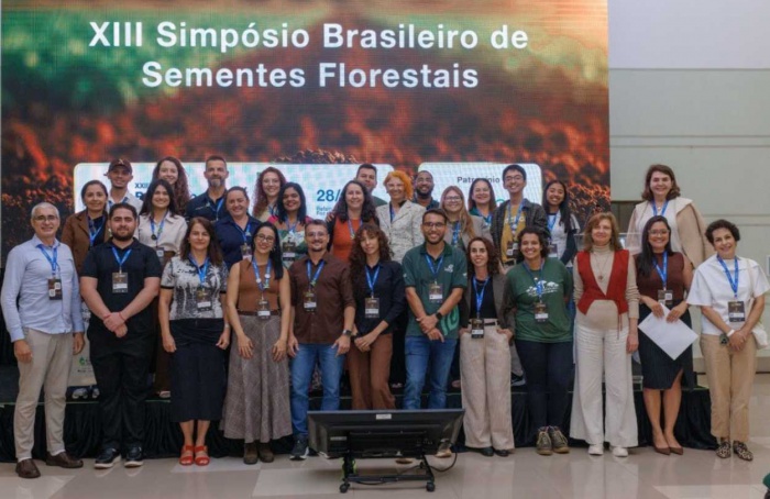 Sementes florestais ganham destaque na restauração dos biomas