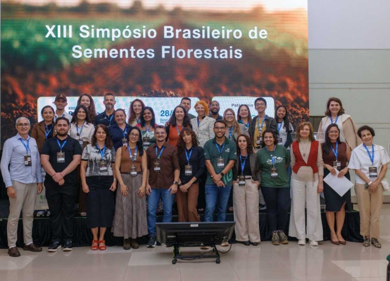 Sementes florestais ganham destaque na restauração dos biomas