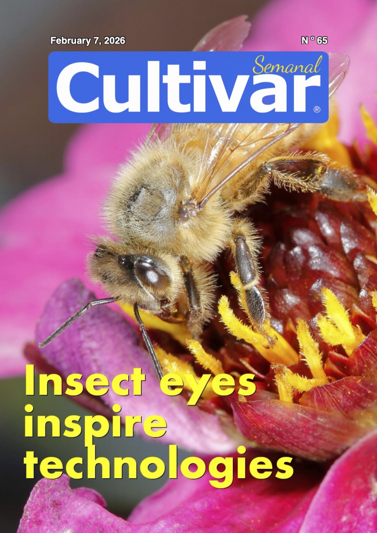 Cultivar Semanal 65