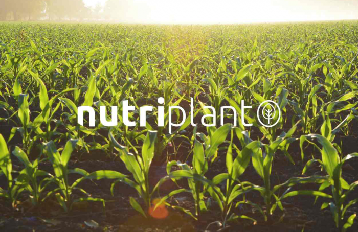 Faturamento da Nutriplant bate recorde com R$ 179 milhões em 2023