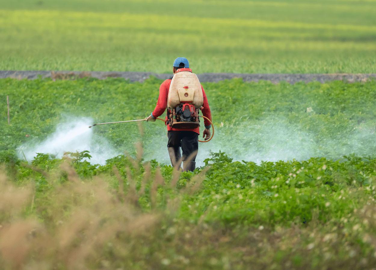 Palestra sobre pesticidas ocorre nesta semana em Dom Pedrito (RS)